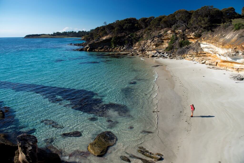 MACq 01 Experience with Maria Island Walk